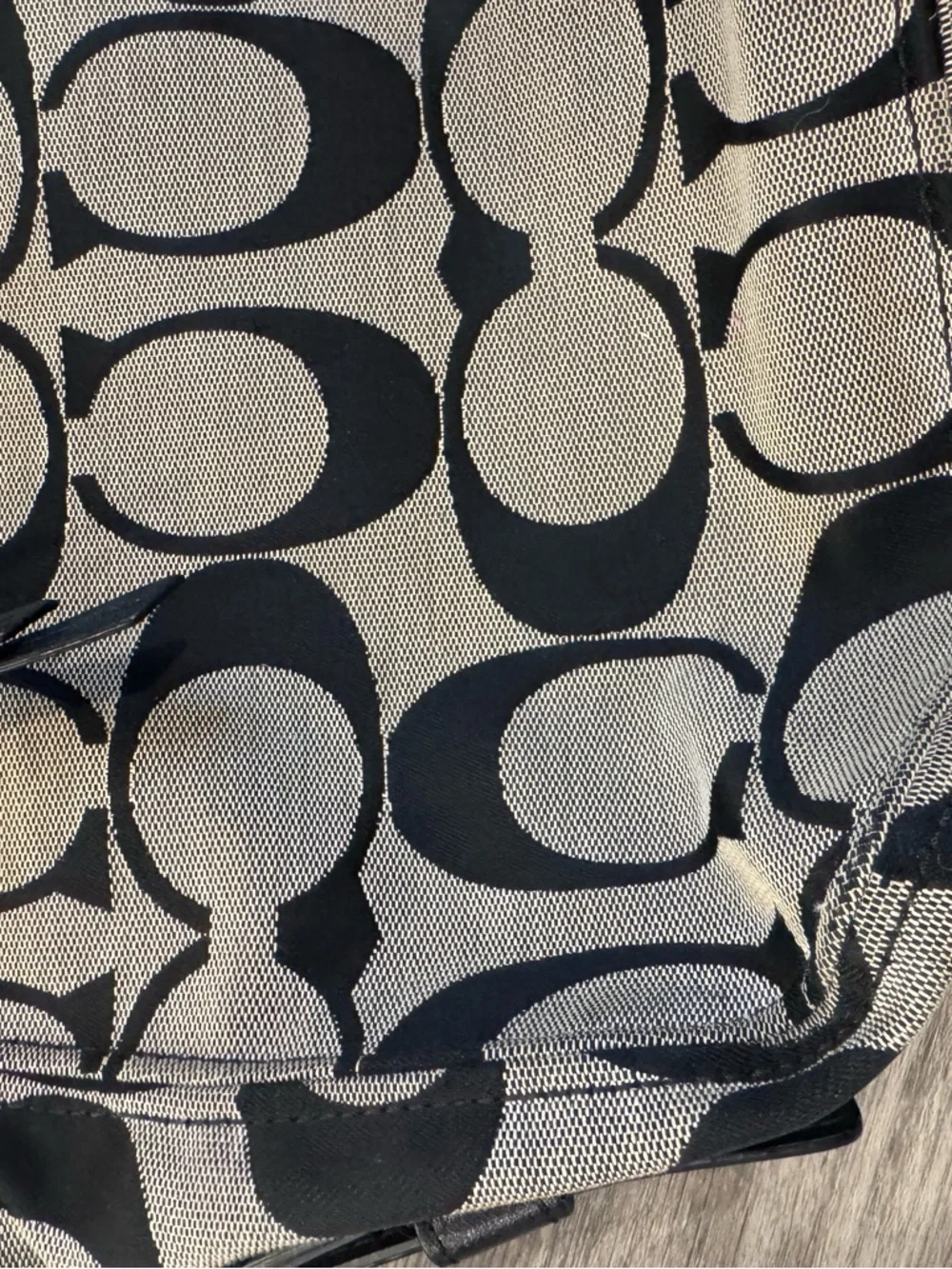Coach Vintage Signature Y2K Hobo Bag